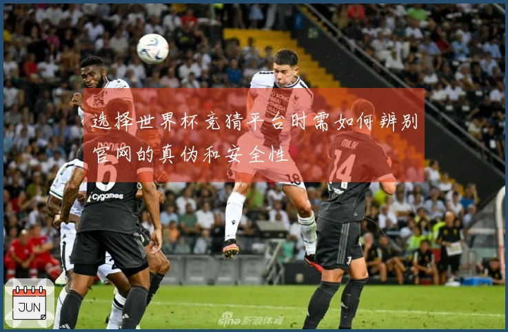 选择世界杯竞猜平台时需如何辨别官网的真伪和安全性
