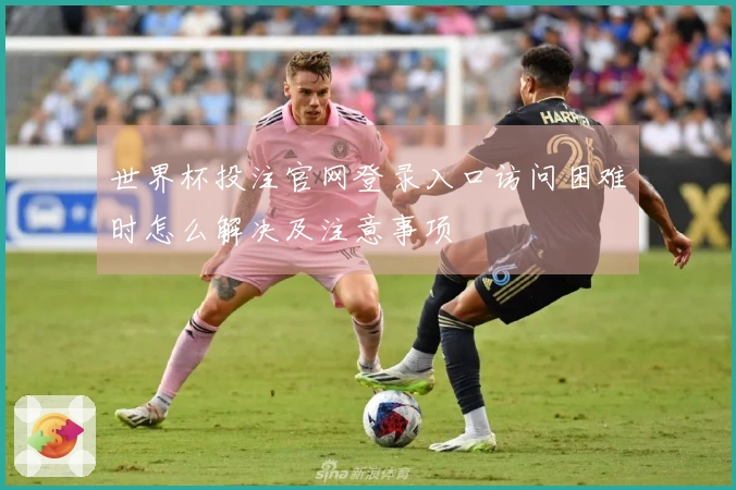世界杯投注官网登录入口访问困难时怎么解决及注意事项