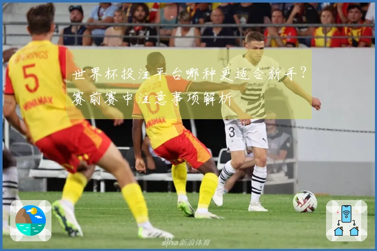 世界杯投注平台哪种更适合新手？赛前赛中注意事项解析